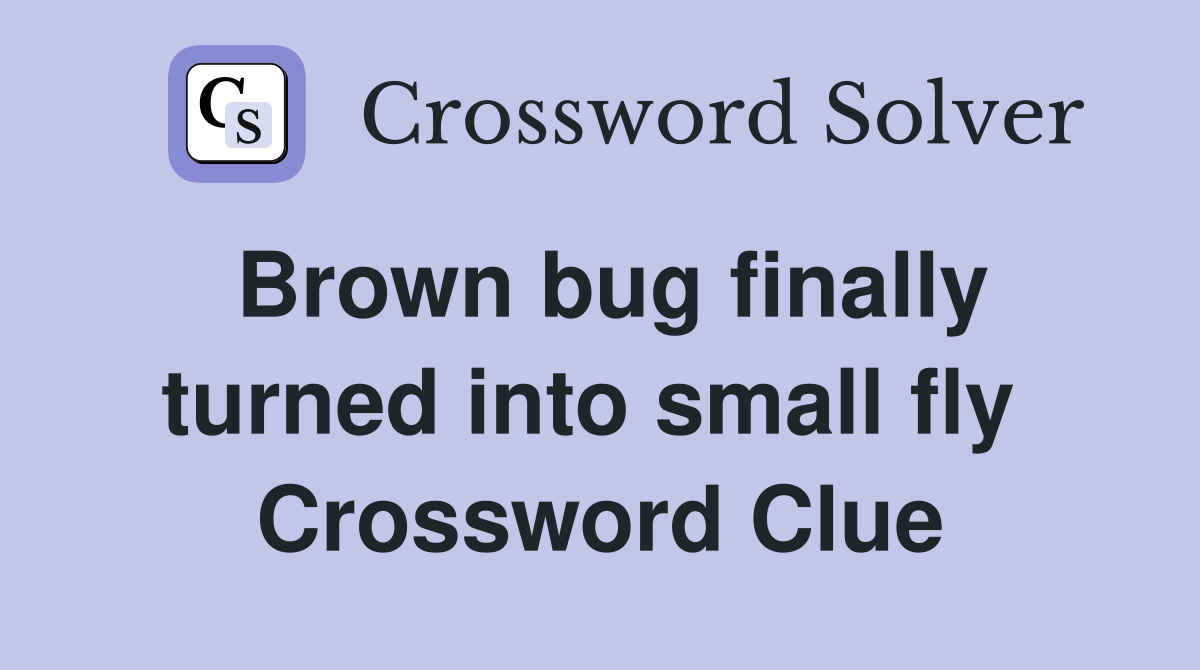 Brown bug finally turned into small fly  Crossword Clue
