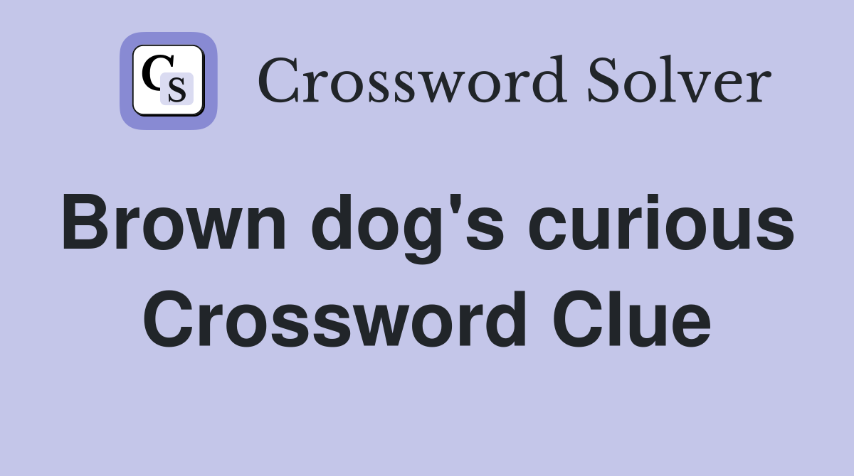 Brown dog's curious  Crossword Clue