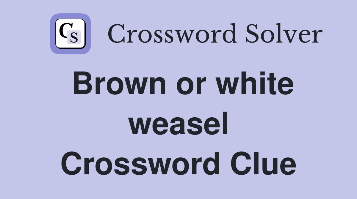 Brown or white weasel Crossword Clue
