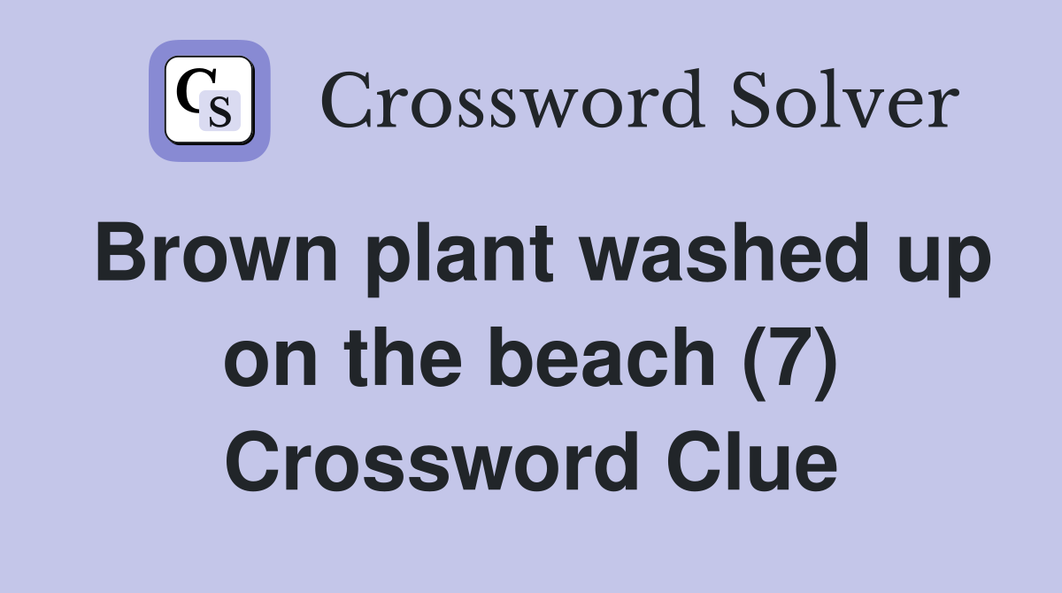 Brown plant washed up on the beach (7) Crossword Clue