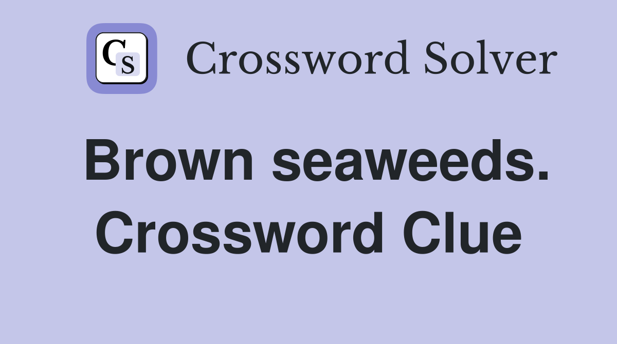 Brown seaweeds. Crossword Clue