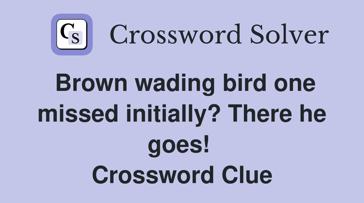 Brown wading bird one missed initially? There he goes!  Crossword Clue