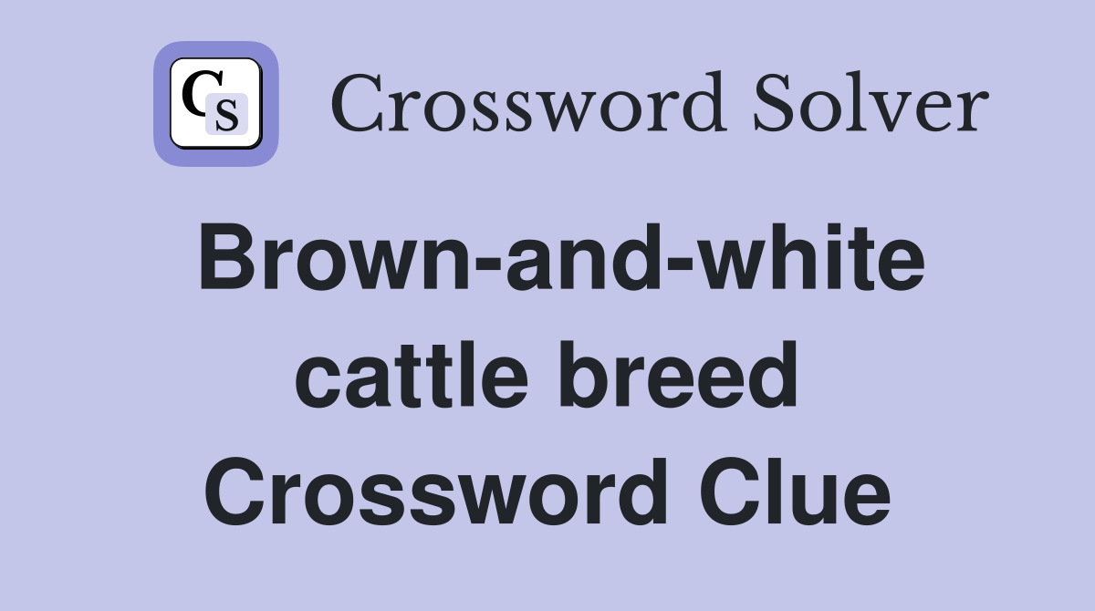 Brown-and-white cattle breed Crossword Clue