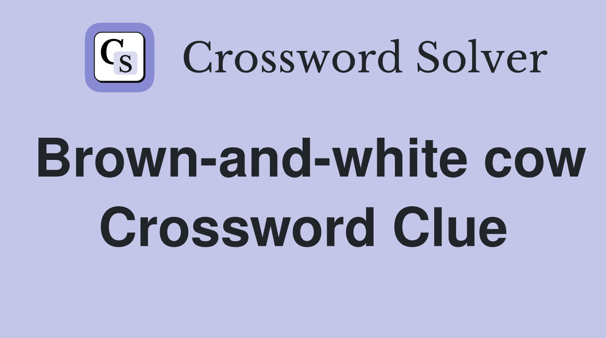 Brown-and-white cow Crossword Clue