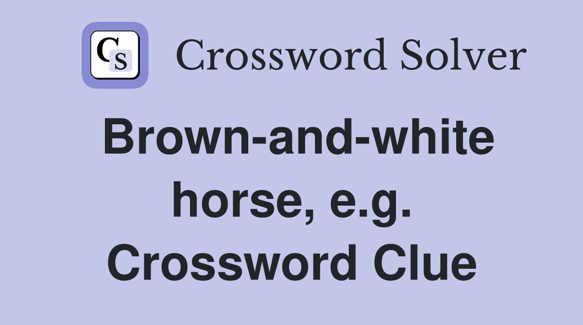 Brown-and-white horse, e.g. Crossword Clue