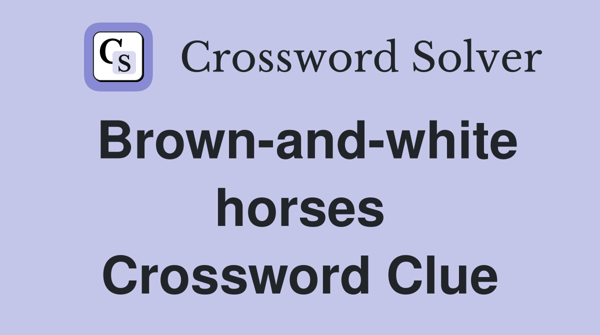 Brown-and-white horses Crossword Clue
