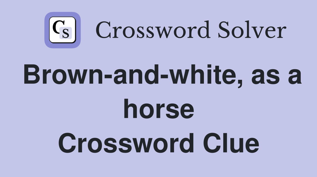 Brown-and-white, as a horse Crossword Clue