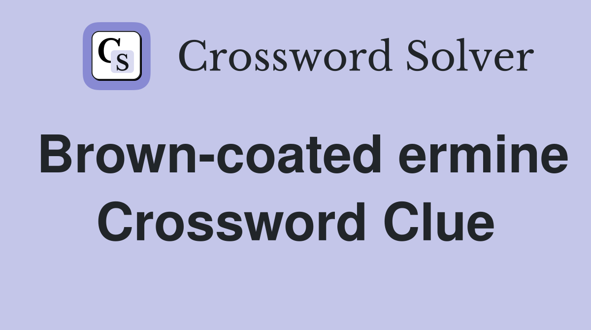 Brown-coated ermine Crossword Clue