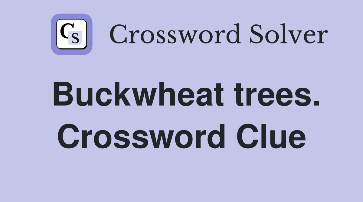 Buckwheat trees. Crossword Clue