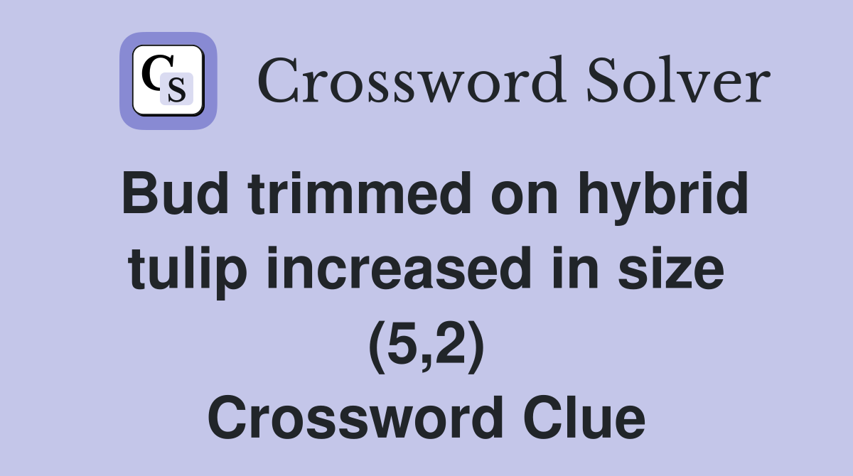 Bud trimmed on hybrid tulip increased in size (5,2) Crossword Clue