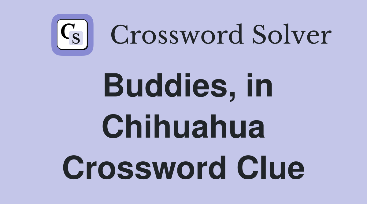 Buddies, in Chihuahua Crossword Clue
