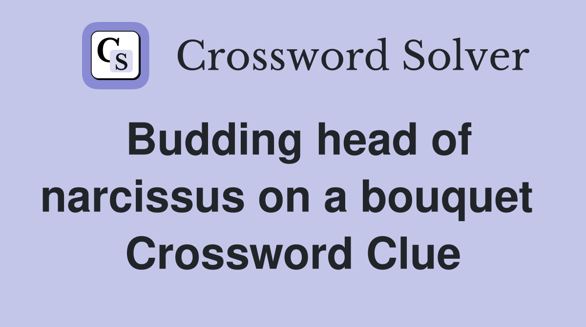 Budding head of narcissus on a bouquet  Crossword Clue