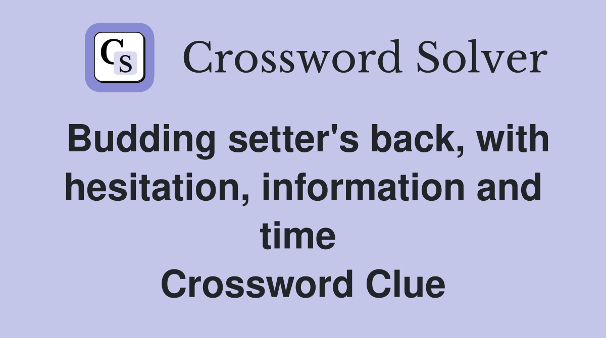 Budding setter's back, with hesitation, information and time  Crossword Clue