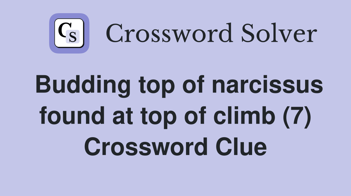 Budding top of narcissus found at top of climb (7) Crossword Clue
