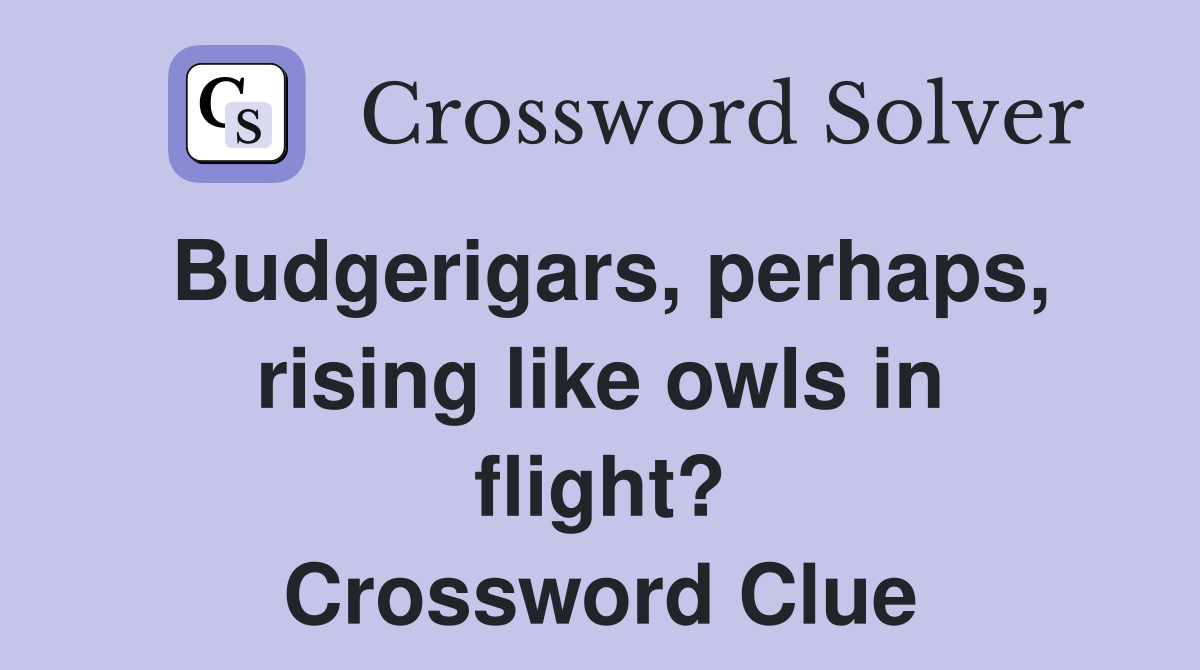 Budgerigars, perhaps, rising like owls in flight? Crossword Clue