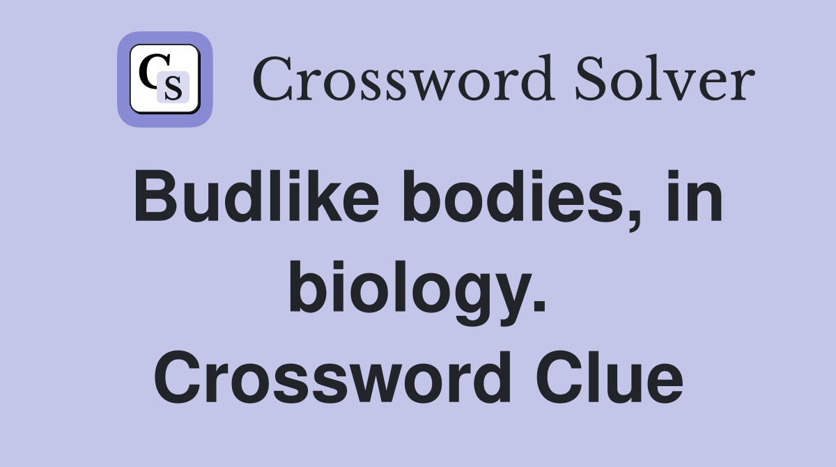 Budlike bodies, in biology. Crossword Clue