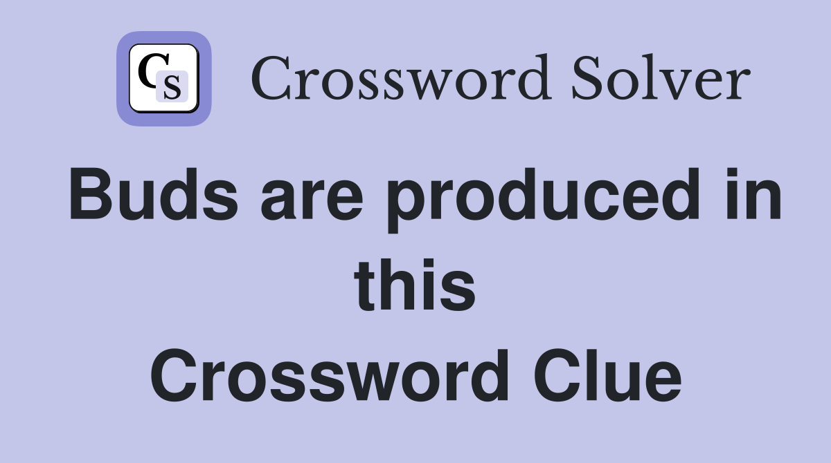 Buds are produced in this Crossword Clue