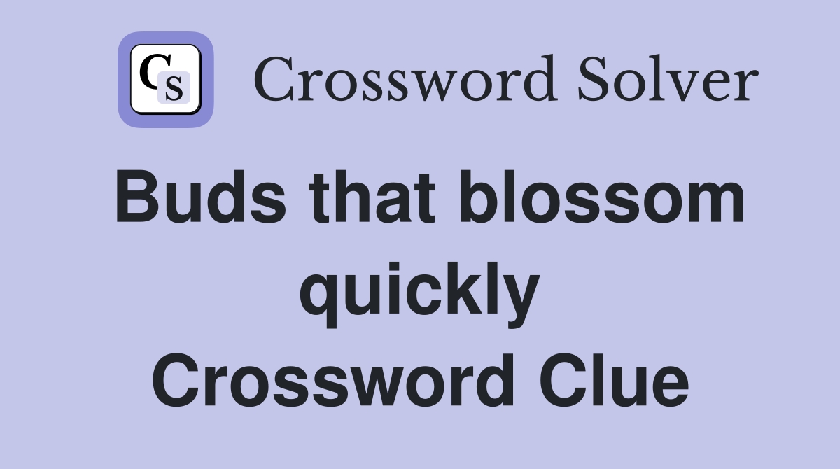 Buds that blossom quickly Crossword Clue