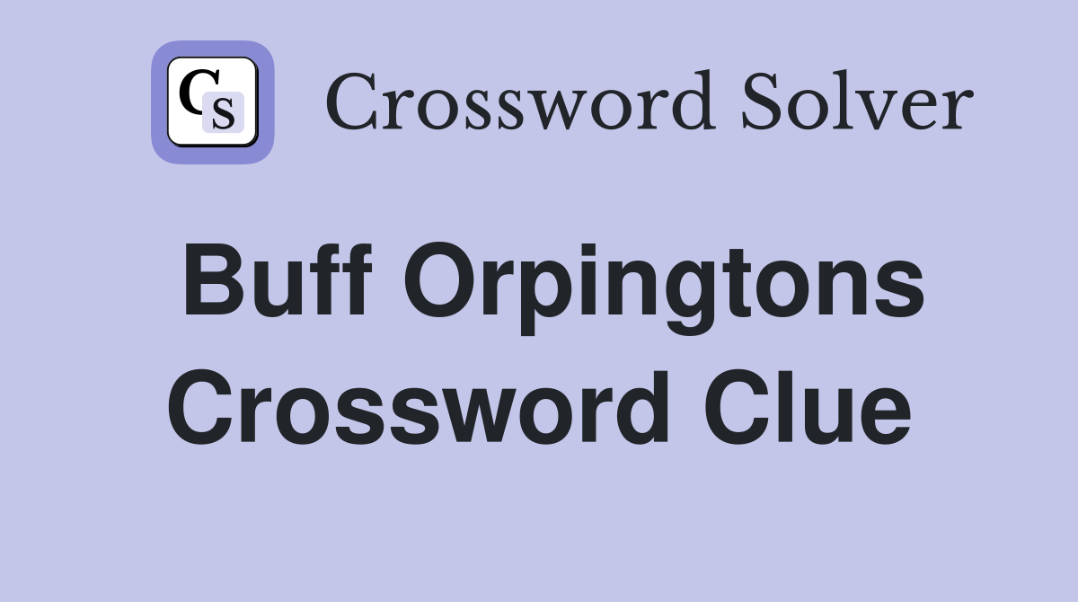 Buff Orpingtons Crossword Clue