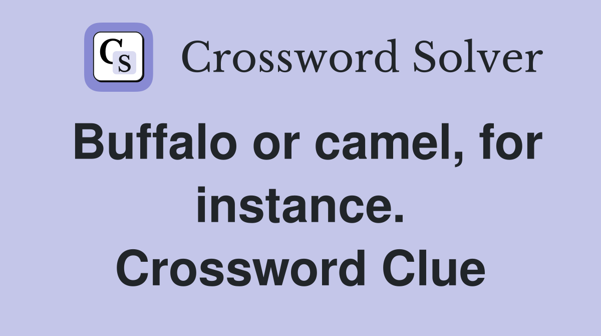 Buffalo or camel, for instance. Crossword Clue