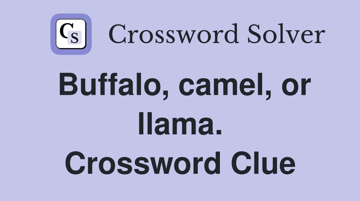 Buffalo, camel, or llama. Crossword Clue