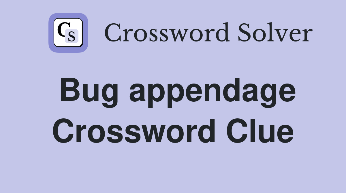 Bug appendage Crossword Clue