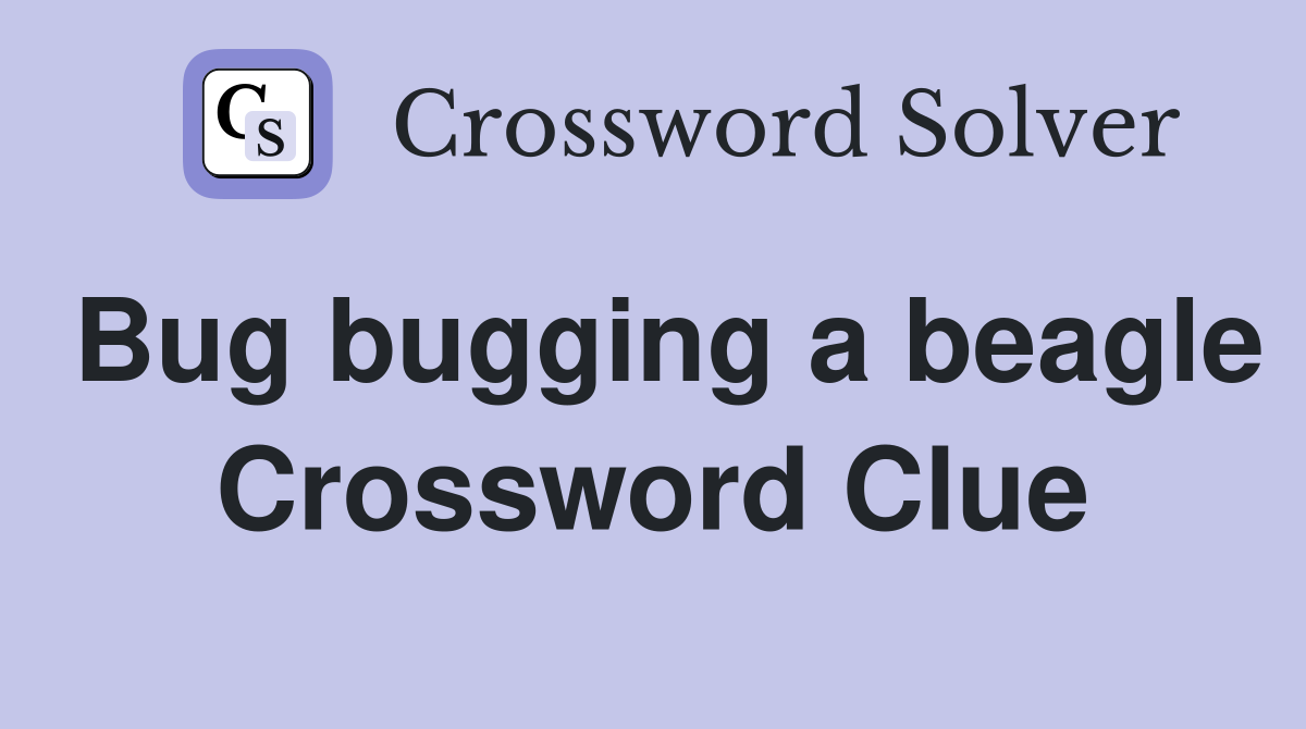 Bug bugging a beagle Crossword Clue