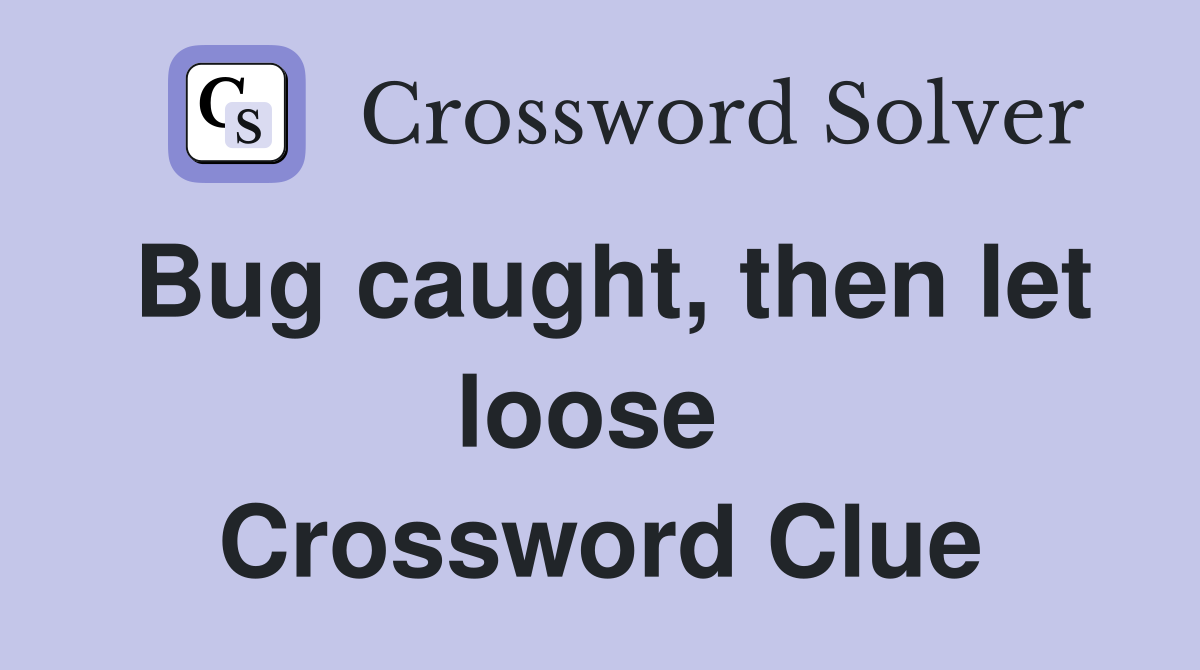 Bug caught, then let loose  Crossword Clue