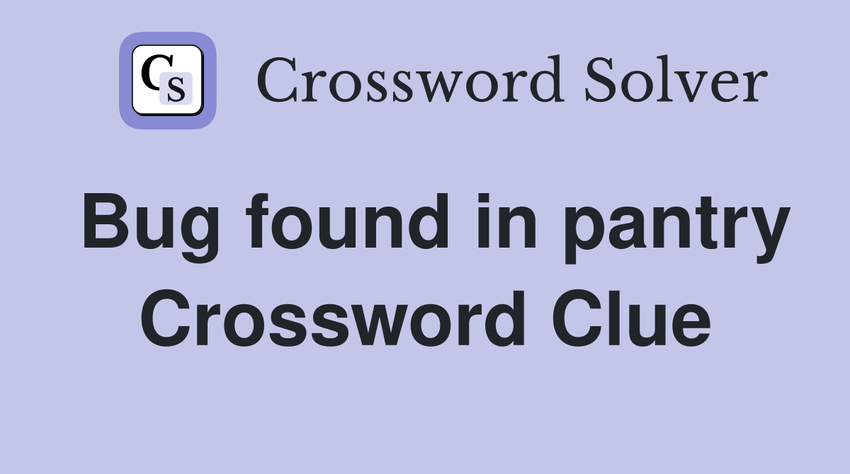 Bug found in pantry Crossword Clue