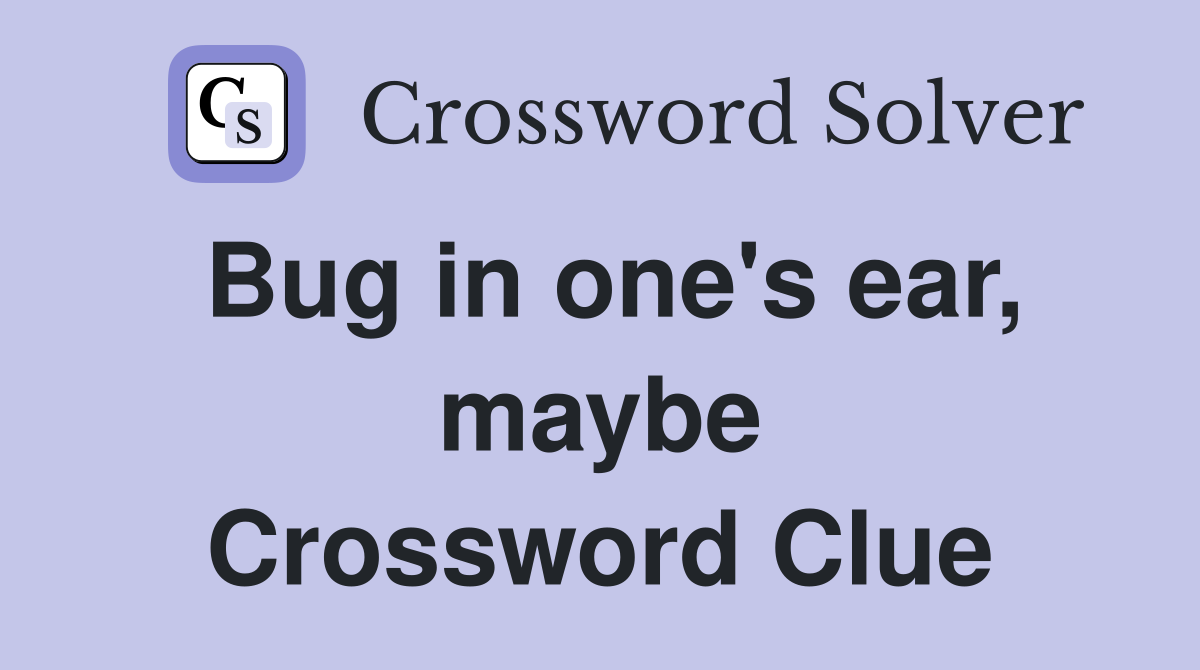 Bug in one's ear, maybe Crossword Clue