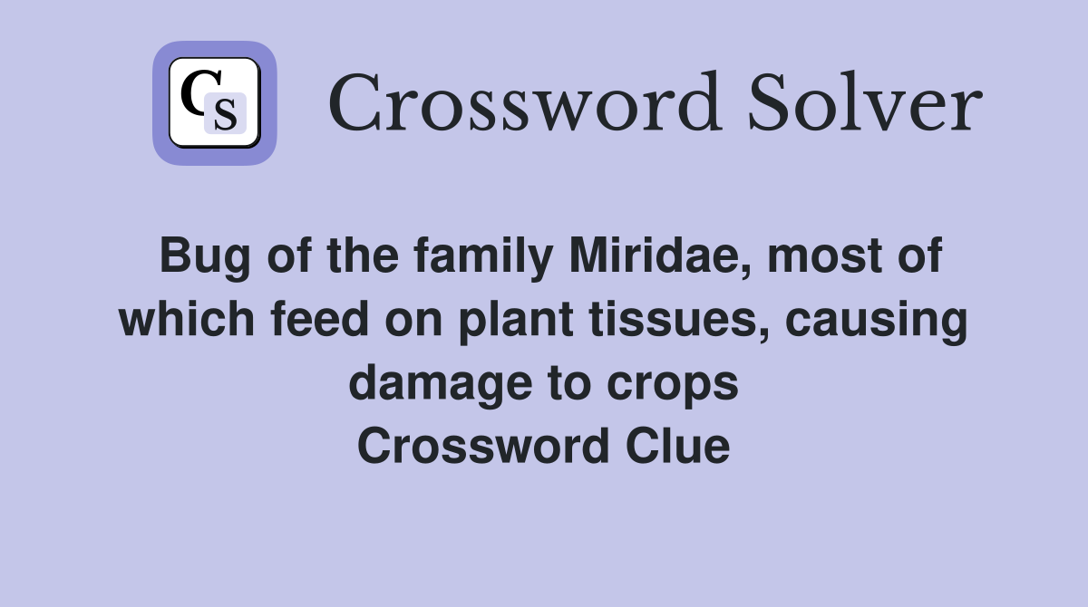 Bug of the family Miridae, most of which feed on plant tissues, causing damage to crops Crossword Clue