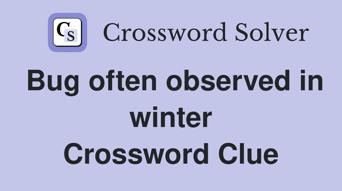 Bug often observed in winter Crossword Clue