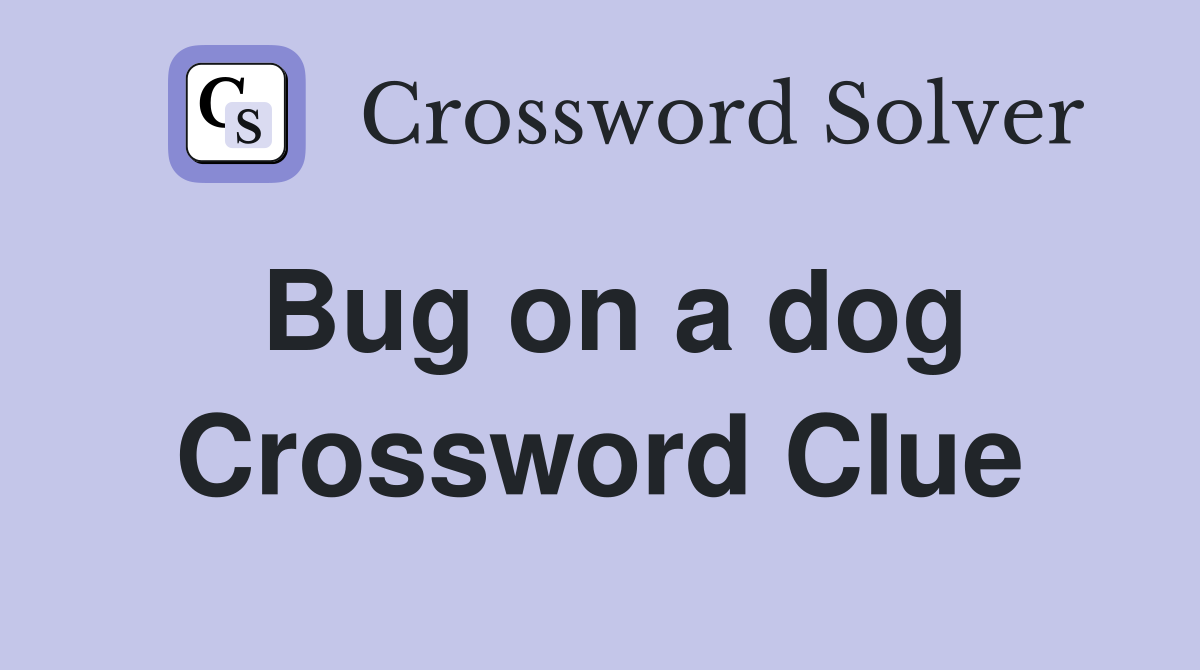 Bug on a dog Crossword Clue