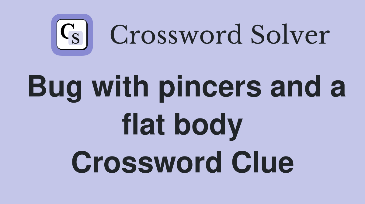 Bug with pincers and a flat body Crossword Clue