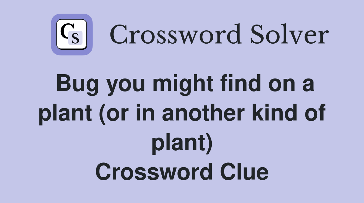 Bug you might find on a plant (or in another kind of plant) Crossword Clue