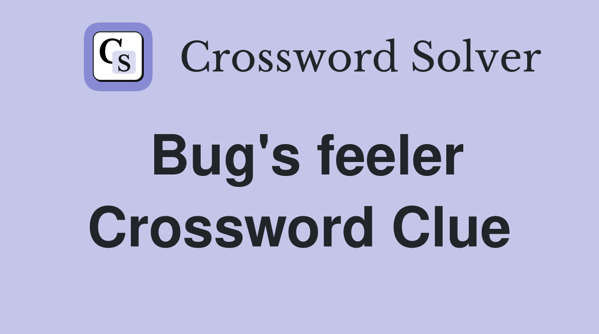 Bug's feeler Crossword Clue