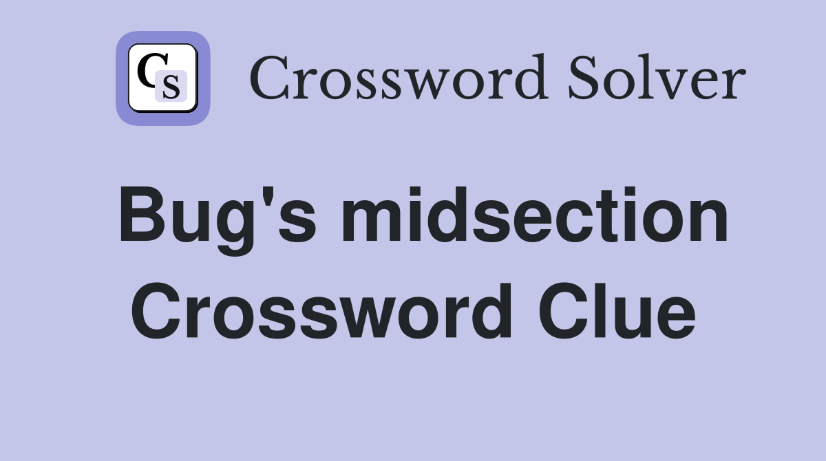 Bug's midsection Crossword Clue