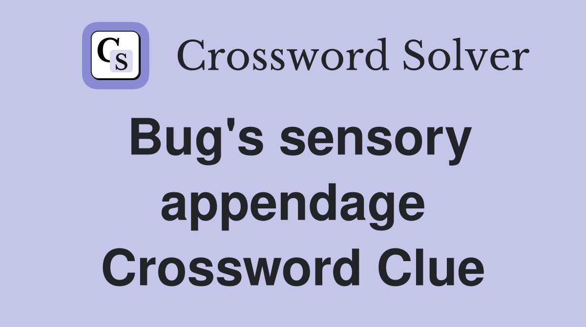 Bug's sensory appendage Crossword Clue