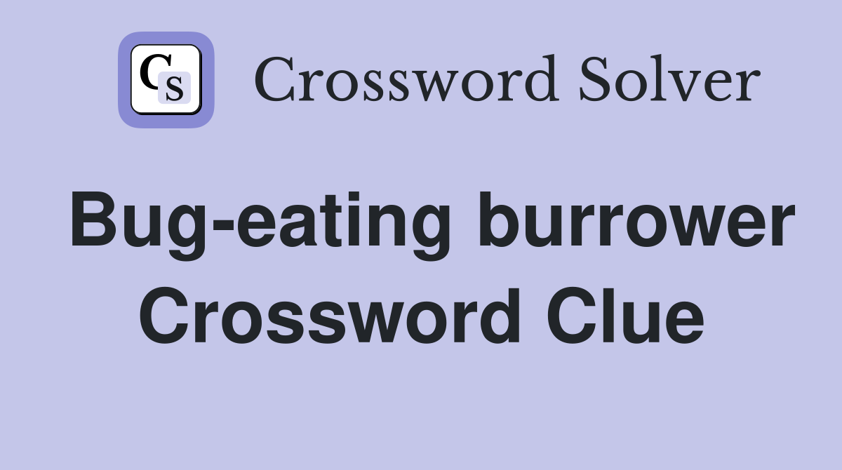 Bug-eating burrower Crossword Clue