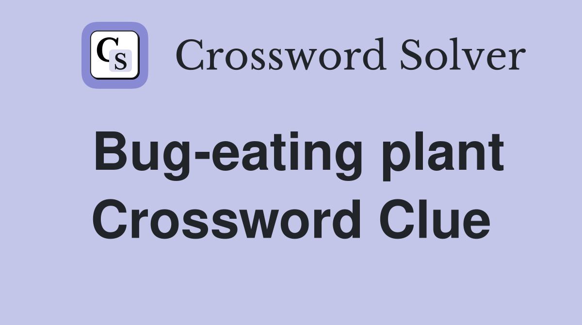 Bug-eating plant Crossword Clue