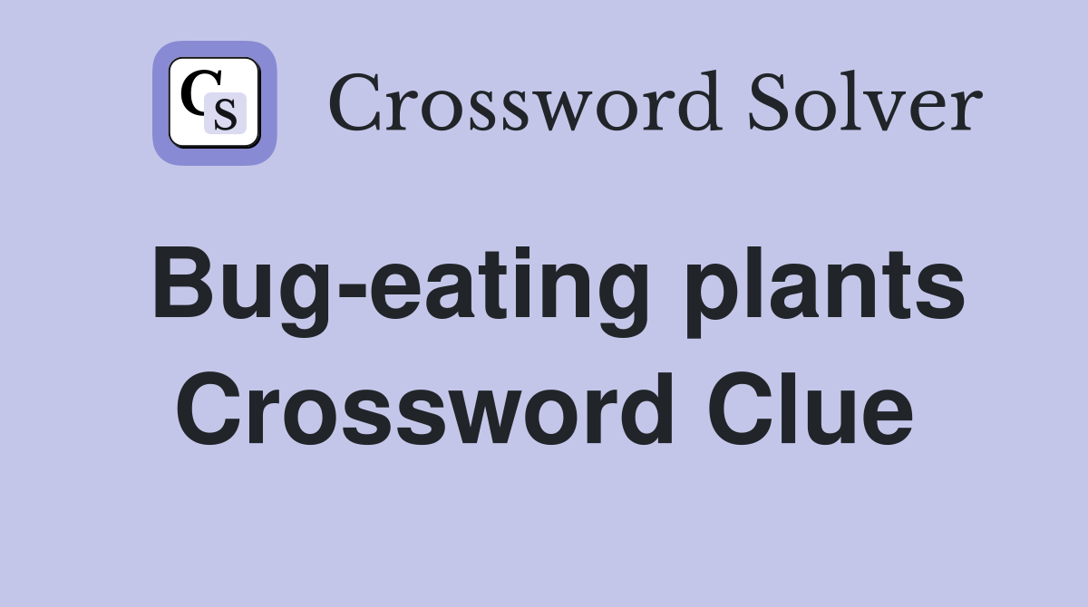Bug-eating plants Crossword Clue