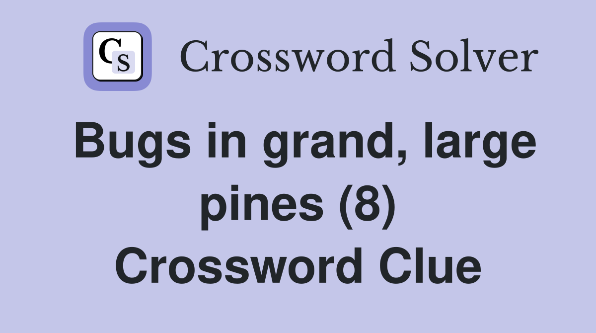 Bugs in grand, large pines (8) Crossword Clue