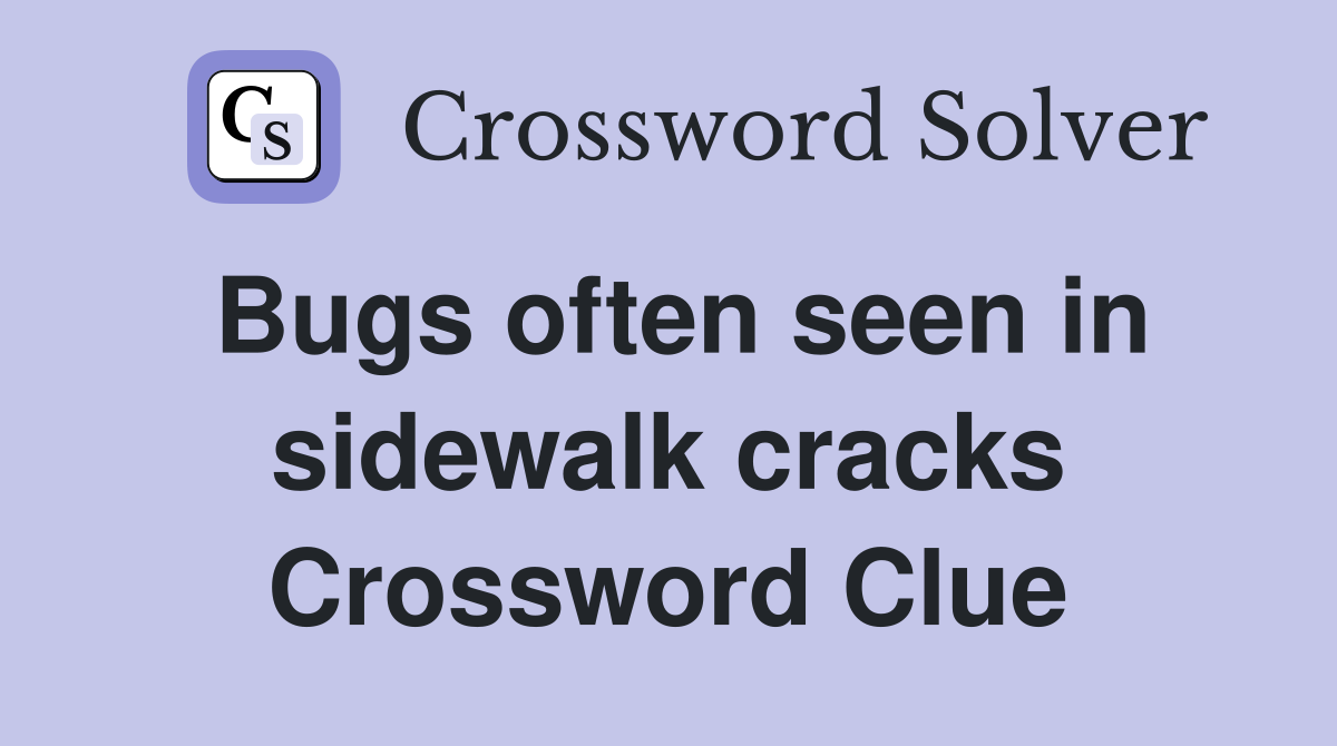 Bugs often seen in sidewalk cracks Crossword Clue