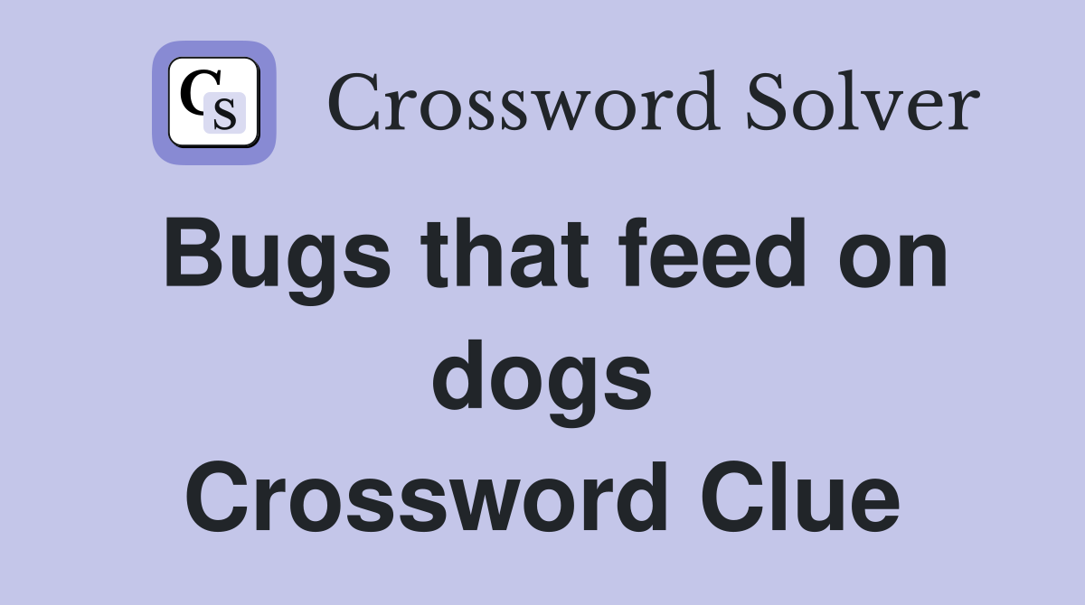 Bugs that feed on dogs Crossword Clue