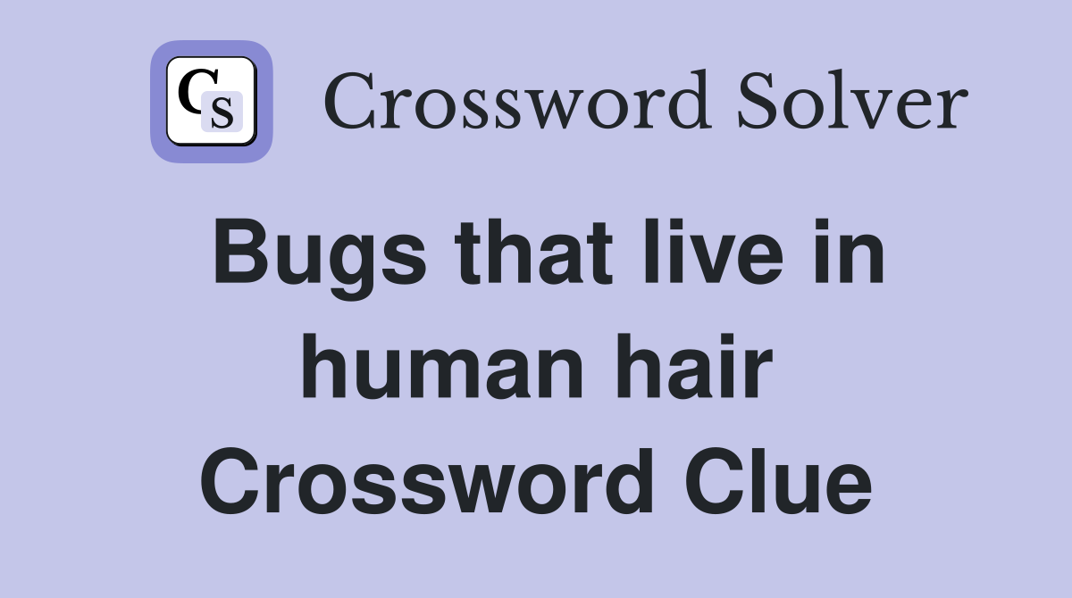 Bugs that live in human hair Crossword Clue
