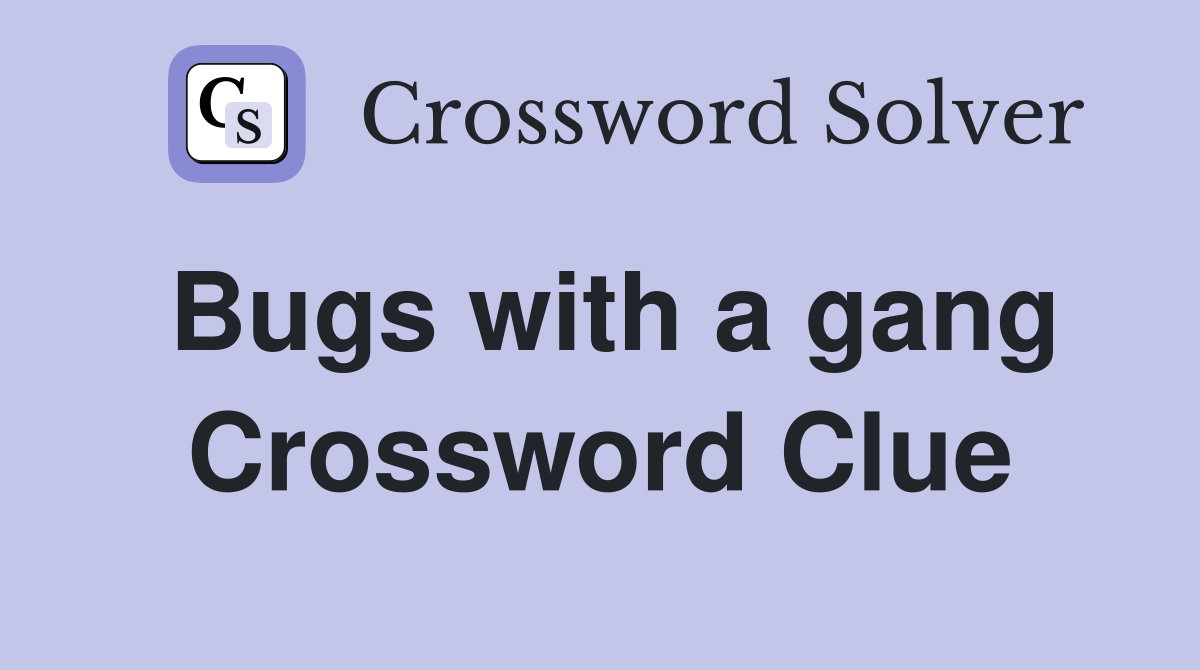 Bugs with a gang Crossword Clue