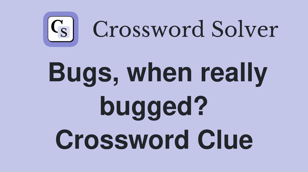 Bugs, when really bugged? Crossword Clue