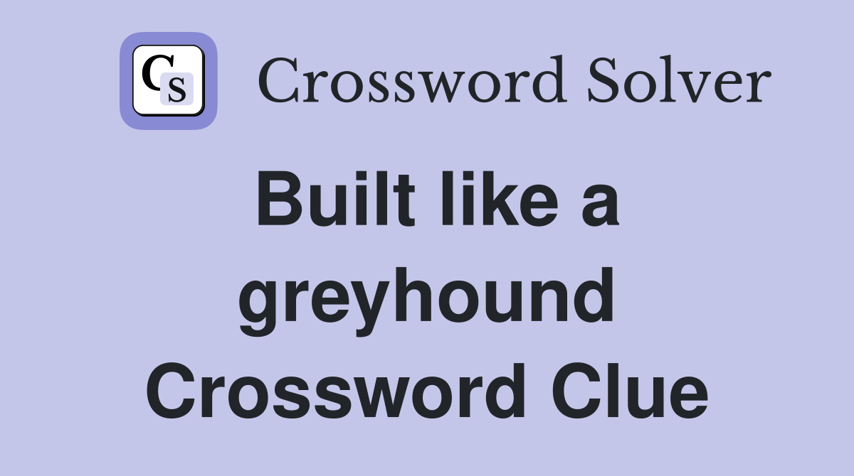 Built like a greyhound Crossword Clue