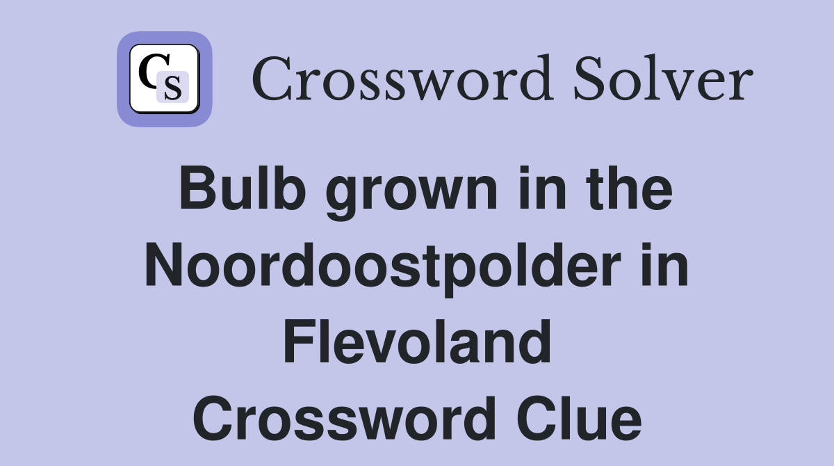 Bulb grown in the Noordoostpolder in Flevoland Crossword Clue