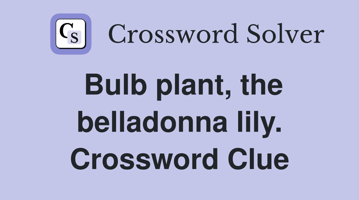 Bulb plant, the belladonna lily. Crossword Clue